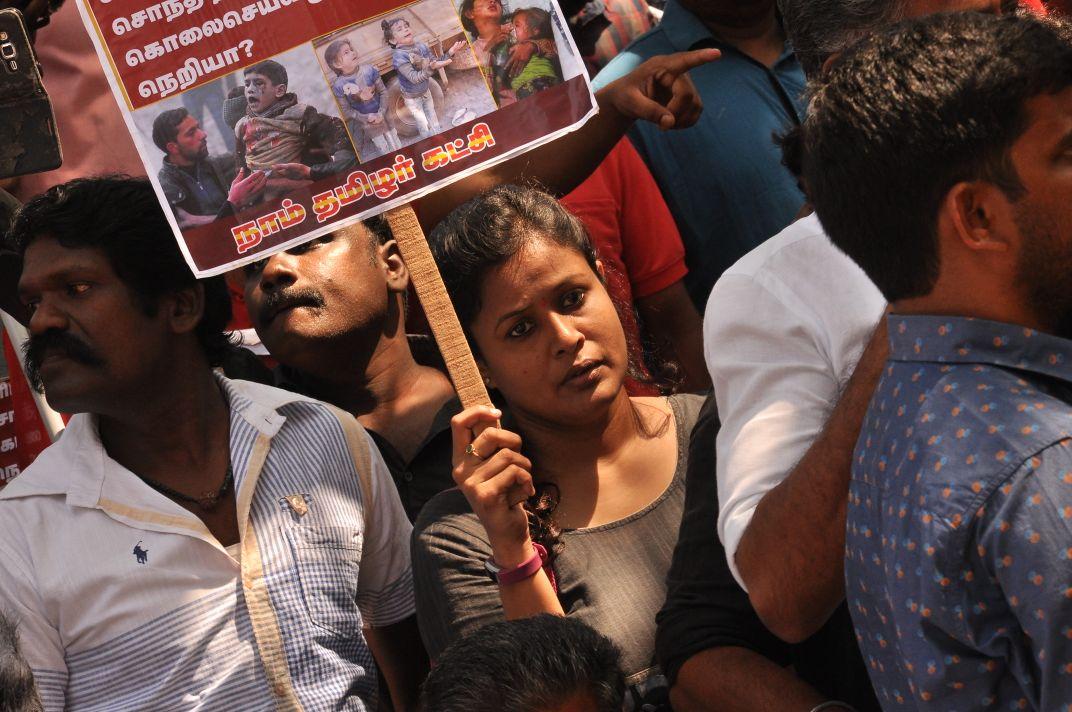 புல ஆய்வு