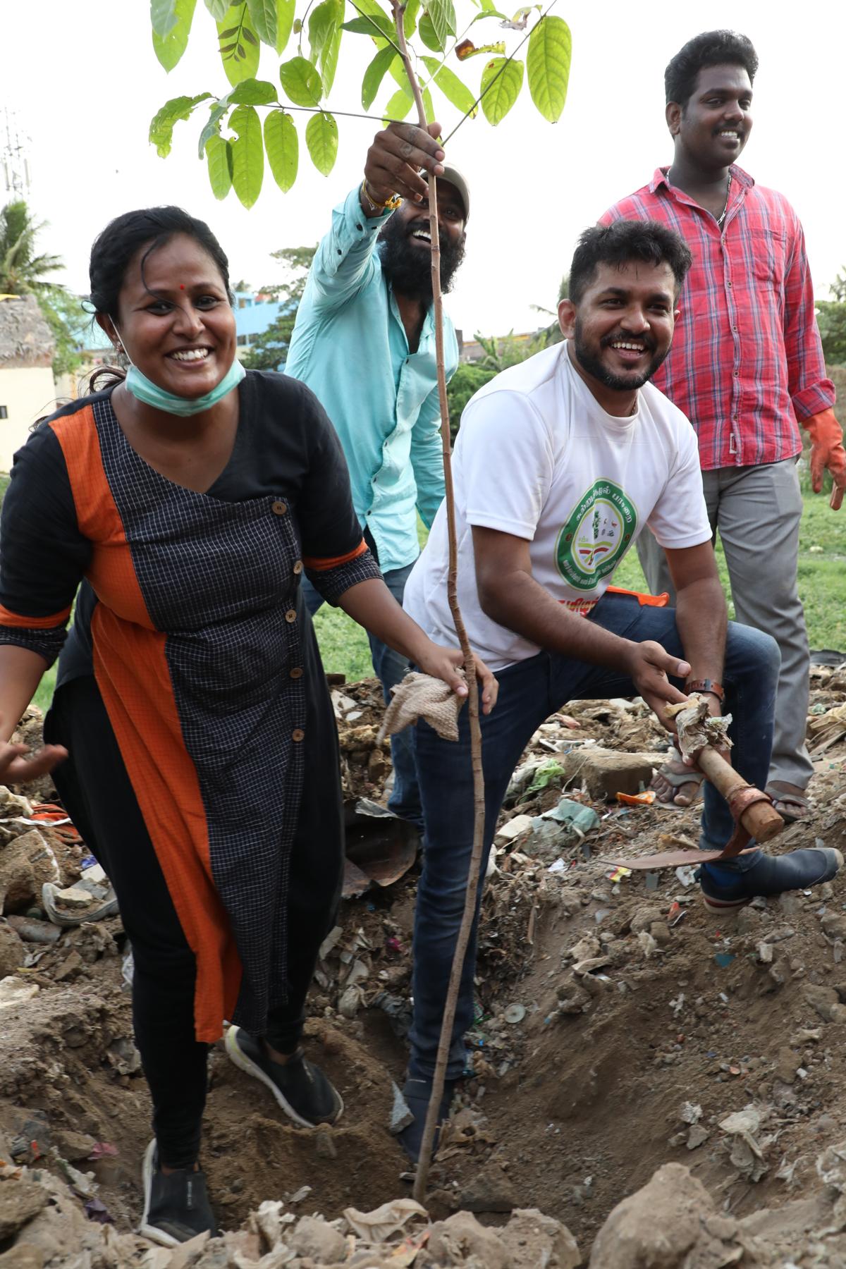 புல ஆய்வு